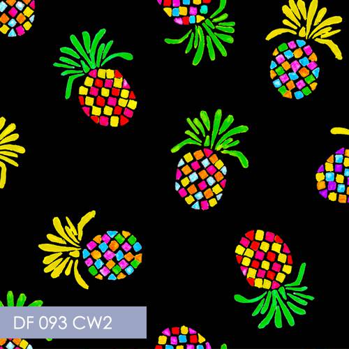 DF_0093 CW2